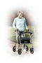 Rollator Rolling Walker with 6" Wheels, Fold Up Removable Back Support and Padded Seat, Silver